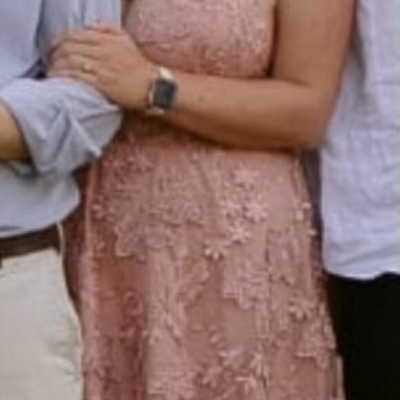 Dress the Population Tahani Floral Embroidered Fit & Flare Midi Dress - Blush/L - Picture 6 of 6